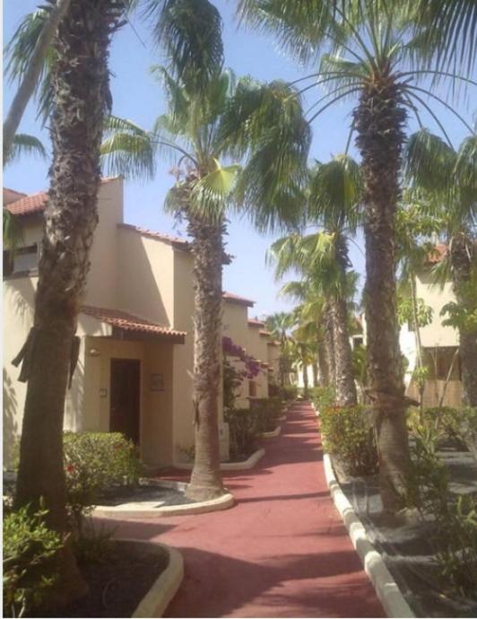 Relax A 10 Minuti Da Corralejo Villa Parque Holandes ภายนอก รูปภาพ